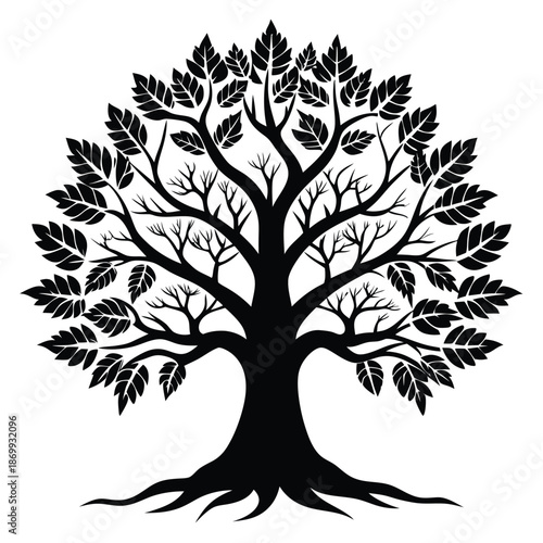 Symmetrical Oak Tree Silhouette with Detailed Branches, Black and White Nature Vector Art