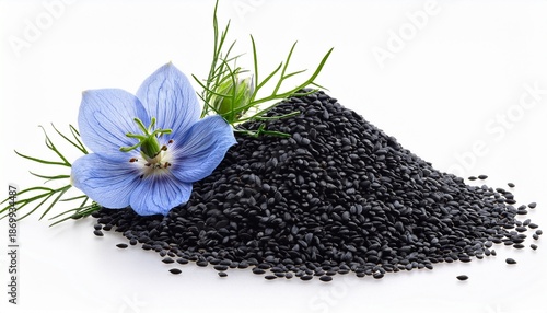 Black Cumin Seeds With Nigella Sativa Flower Isolated On Transparent Background