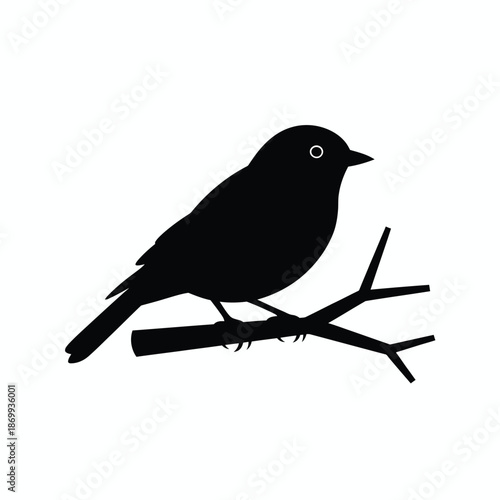 Bird perched on branch