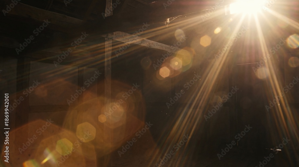 Obraz premium Bright sunlight shine creates lens flare light leak effects in dark background.