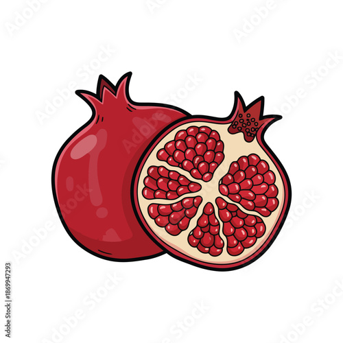 Fresh Red Pomegranate Fruit Vector Illustration