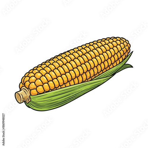 Maize Corn Vector for Agriculture and Food Design on White