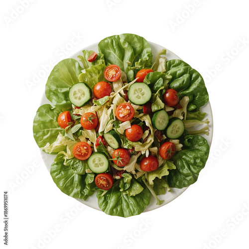 Fresh Salad With Lettuce, Cucumber, and Cherry Tomatoes on a White Plate for ...