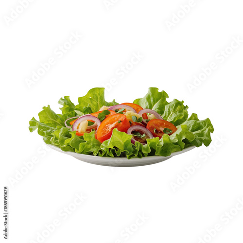 Fresh Vegetable Salad Served on a Plate With Lettuce and Colorful Toppings