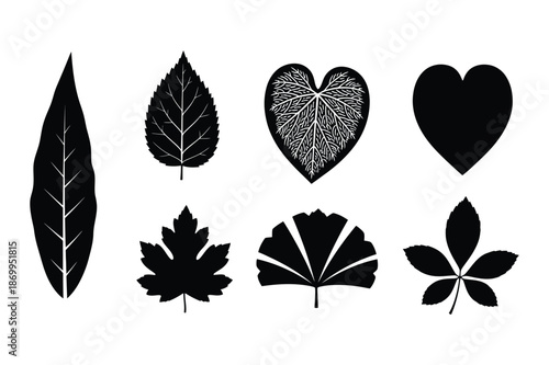 Leaf Silhouettes and Shapes