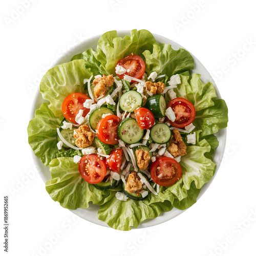 Fresh Salad With Lettuce, Cucumber, and Cherry Tomatoes on a White Plate for ...
