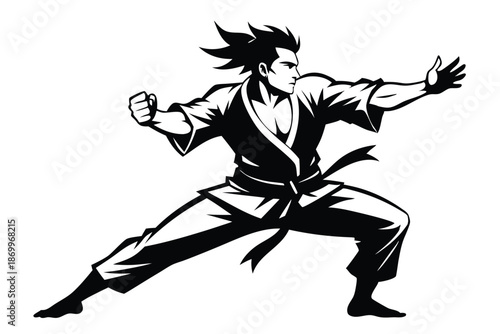 Striking Martial Artist Silhouette Graphic Depicting an Intense Combat Sport Pose