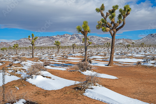 Desert Snow Drifts and Mountains in the Spring