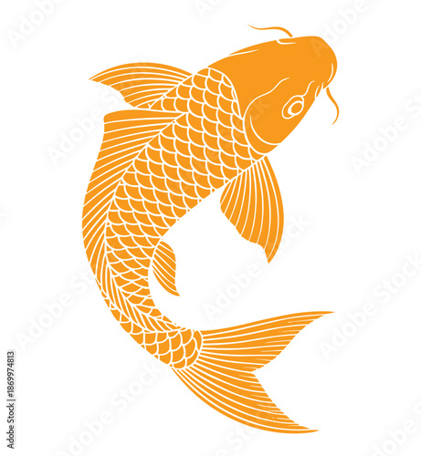  A single orange koi fish with detailed scales and fins against a white background made