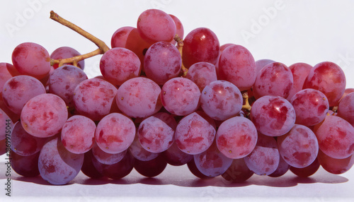 Wallpaper Mural "Close-Up of Fresh Red-Purple Grapes on Vine with Smooth Translucent Skin – Natural Texture and Color for Food, Wine, and Organic Design Concepts" Torontodigital.ca