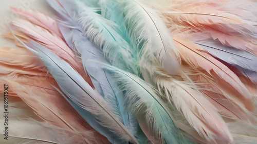 close up of colorful feathers