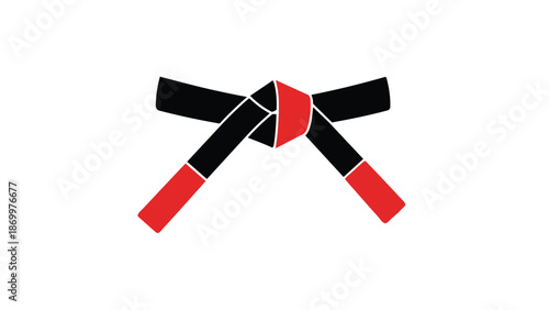 Martial arts black belt with red accents tied in a bow