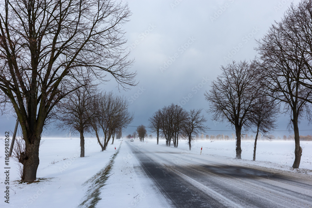 Obraz premium Country road in the winter during the snow blizzard. Road surfece covered with snow and ice. Dangerous car travel condition.