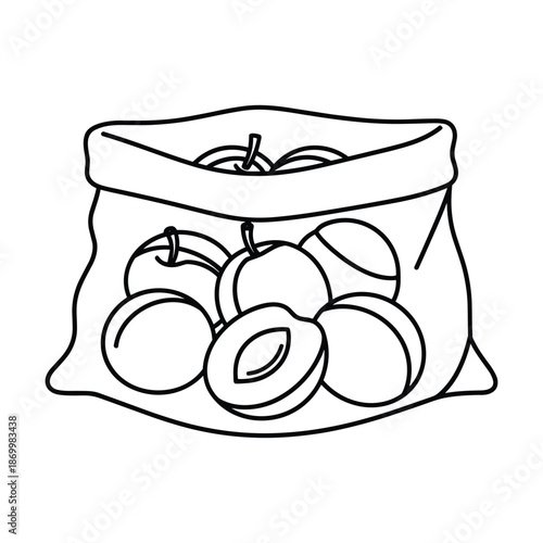 Fresh apricots in a bag simple line art illustration