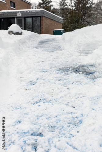 Wallpaper Mural Pathway with salt and melting snow. Road to houses in residential neighborhood in winter snowy season Torontodigital.ca