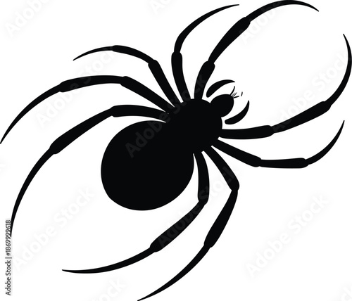 Creepy black spider silhouette illustration on white background arachnid insect with long legs crawling ominous scary horror halloween spooky animal graphic design element for web banners posters and