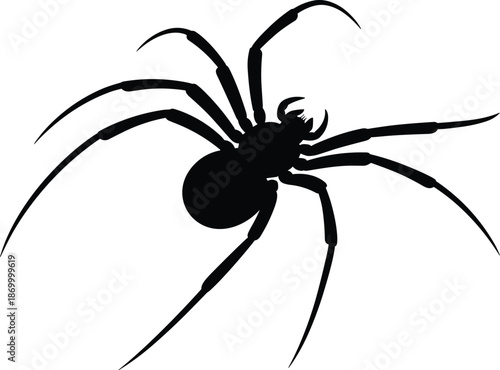 Creepy black spider silhouette crawling isolated on white background arachnid spooky halloween icon arachnophobia danger fear graphic element poisonous insect wildlife vector illustration for science