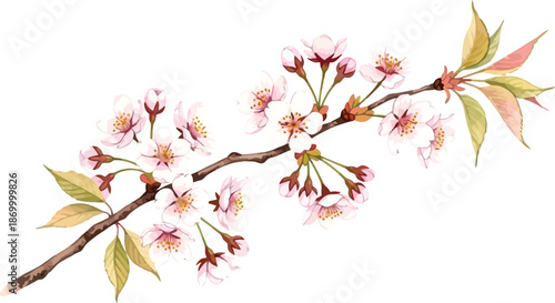 Delicate Blossoms on a Branching Stem