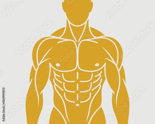 Muscular torso with six pack abs in vector illustration showcasing fitness bodybuilder physique and toned athletic build for health and wellness programs sports medicine advertising healthy lifestyle