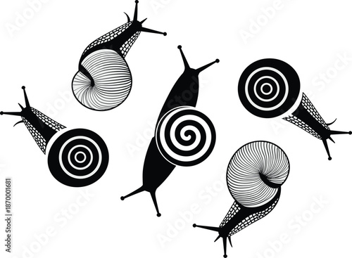 Stylized Black and White Snails Crawling Around Minimalist Design Graphic Illustration Organic Pattern Creative Animal Vector Art for Textile Prints Fashion Designs Stationary Brand Identity Natural T