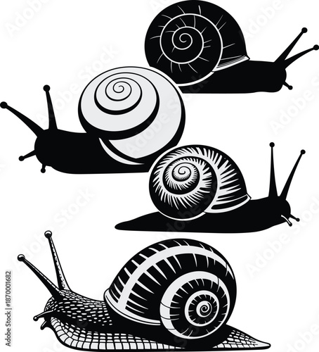 Stylized Snail Graphic Vector Illustration Set of Mollusks with Shells Crawling in Black and White Minimalist Design for Nature Education Biological Study Print Media Natural History Projects and Crea