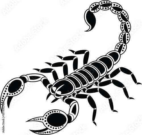 Detailed scorpion illustration in black and white graphic design featuring intricate pattern and precise lines for tattoo art print or zoology education material wildlife danger sign astrology symbol
