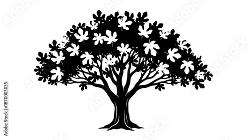 A Clean Vector Silhouette of a Mature Fig Tree with Broad Leaves. transparent.svg.