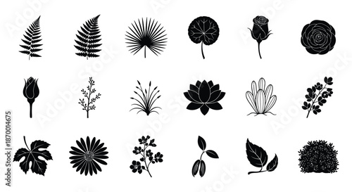Collection of various black and white botanical silhouettes featuring leaves flowers and natural plant elements