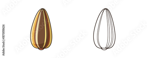 Striped sunflower seed set in cartoon style with brown yellow and white colors representing healthy snack food ingredient for packaging design on white background