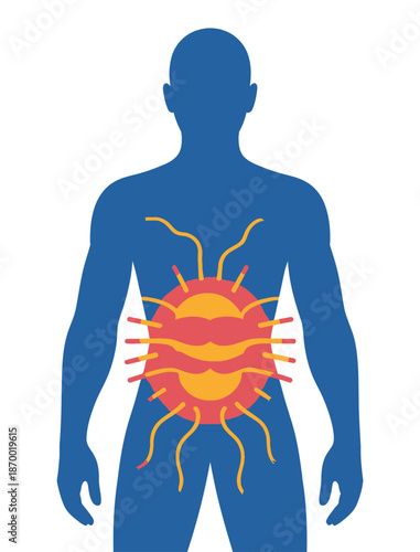 Human silhouette illustrates a painful abdominal condition or internal.