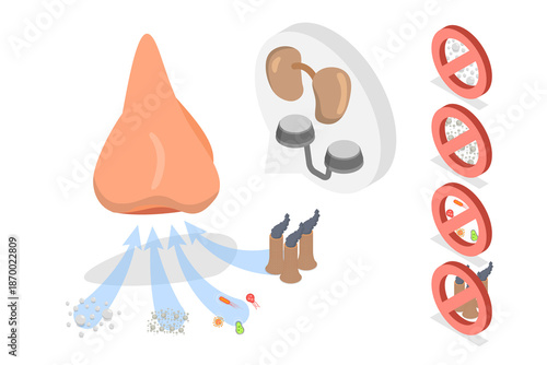 Fotografia 3D Isometric Flat  Illustration of Nasal Filters, Protection Against Airborne Po