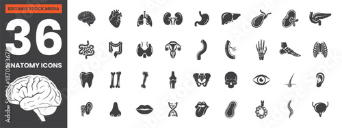 Filled Human Anatomy Icons Set Including Heart, Brain, Lungs, Skeleton, Nervous System, Digestive System, Medical Education, Editable Vector File for Infographics and Educational Design