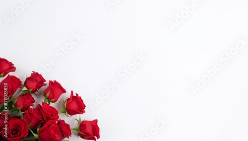 A beautiful arrangement of vibrant red roses gracefully cascades across the corner of a clean white background creating ample copy space