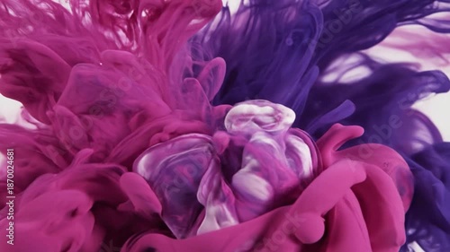 Wallpaper Mural Vibrant Pink and Purple Ink Droplets Merging in Water, Abstract Fluid Motion Torontodigital.ca