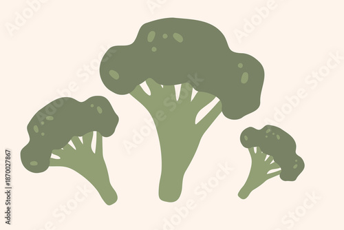 Fresh green broccoli, vector illustration, healthy food, organic vegetables, for banners and web design