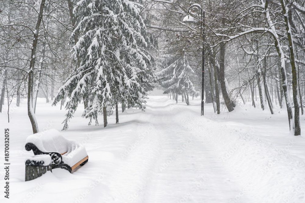 Fototapeta premium Park bench buried in deep, fresh snow next to a forest path and tall spruce trees during a heavy snowfall or blizzard