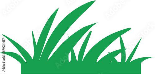 Grass vector illustration isolated on white background.  Green grass flat design
