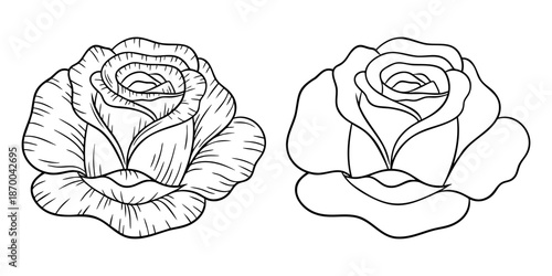 Rose - june birth month flower, line art vector set in monochrome style. Hand drawn botanical illustration. Floral sketch expressing individuality, minimalism and tattoo design concepts.
