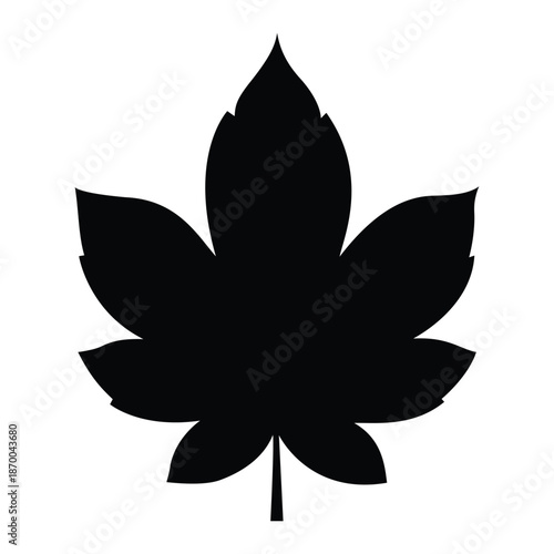 Black silhouette of a maple leaf