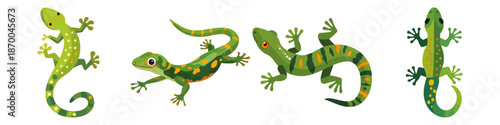 gecko reptile lizard small agile climbing Flat Vector Illustration on Transparent Background