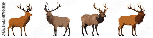 elk animal wildlife mammal large strong Flat Vector Illustration on Transparent Background