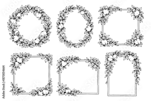 Elegant floral and fruit border frames with apples in hand-drawn style