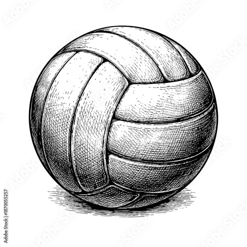 Detailed engraved volleyball in black and white sketch style