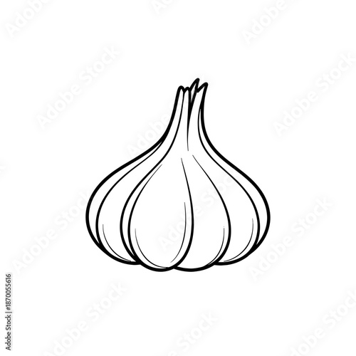 Simple garlic line art design for kitchen decor and culinary projects