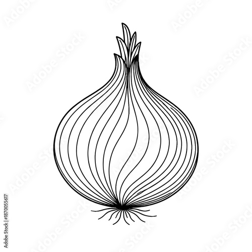 Minimalist black and white onion designed in line art style