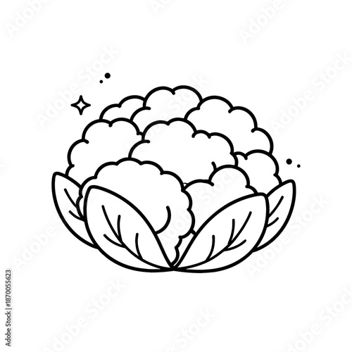 Minimalist line art cauliflower with leaves and star accents
