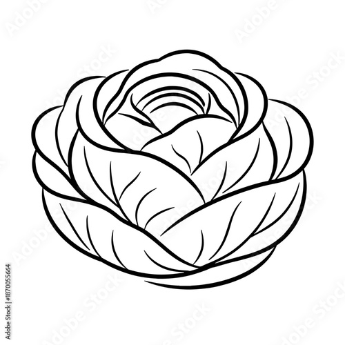 Elegant linear floral design featuring a delicate rose blossom outline for artistic decor