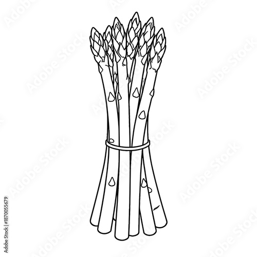 Black and white outline of a bundle of asparagus stalks