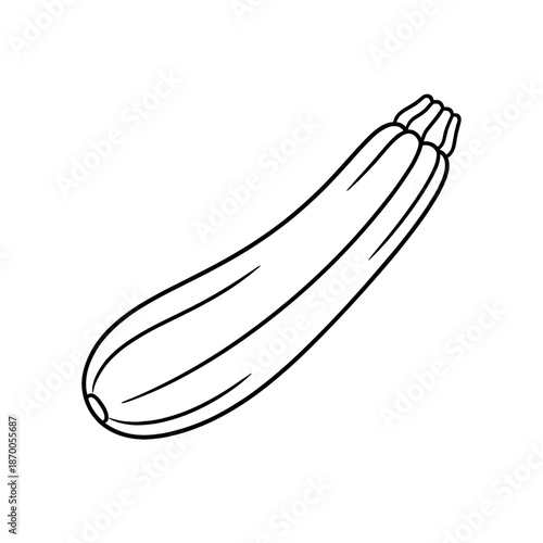 Simple linear zucchini drawing for minimalist food design projects