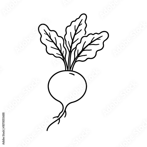 Black and white beetroot outline drawing featuring leaves and root